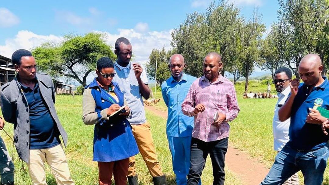 TALIRI YAPONGEZWA KWA KUWEKEZA KWENYE UZALISHAJI WA MALISHO YA MIFUGO