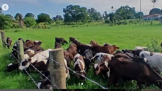 TALIRI yaona mwanga wa mafanikio kupitia ushirikiano na Teagasc ya Ireland