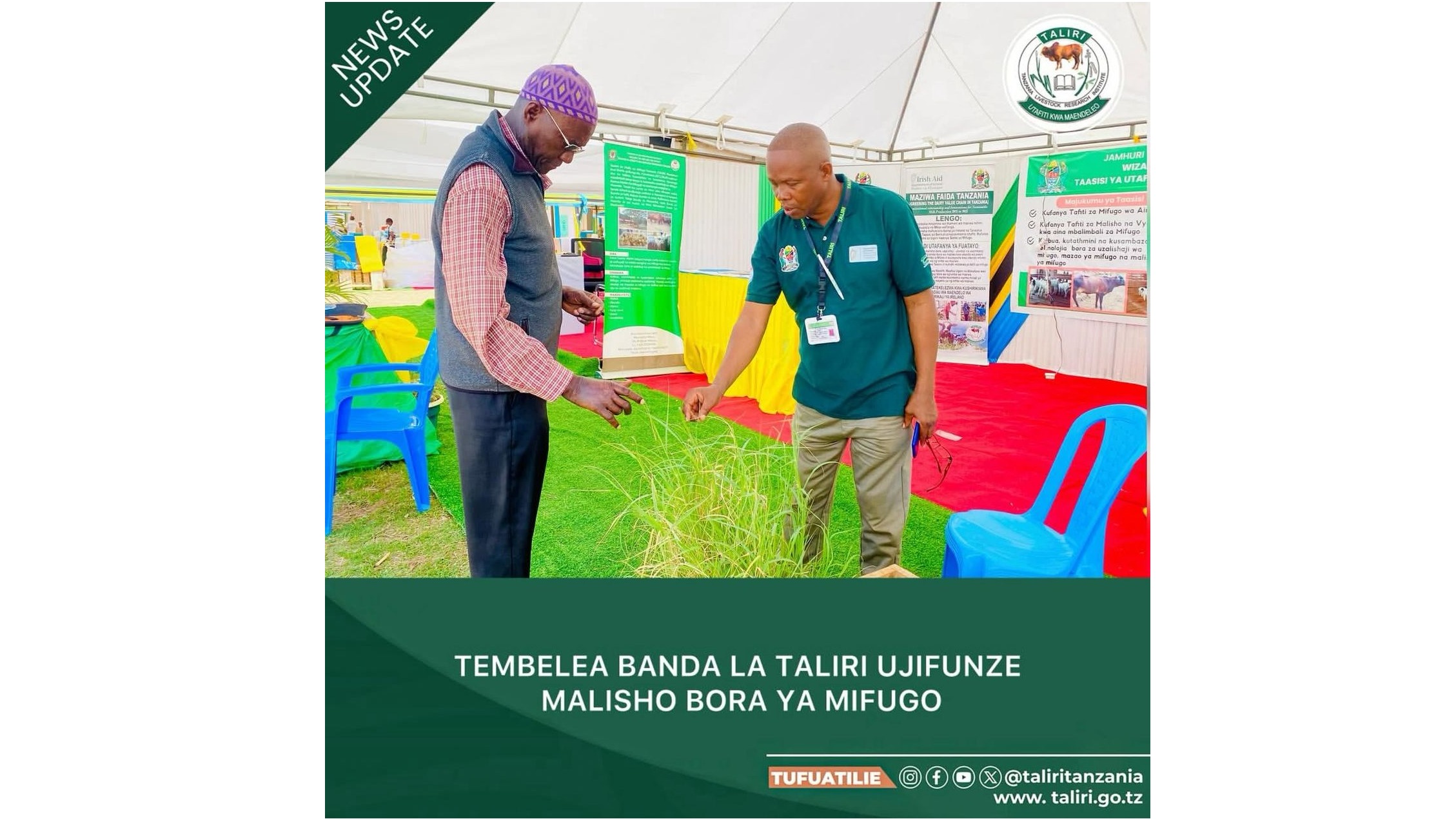 TEMBELEA BANDA LA TALIRI UJIFUNZE MALISHO BORA YA MIFUGO