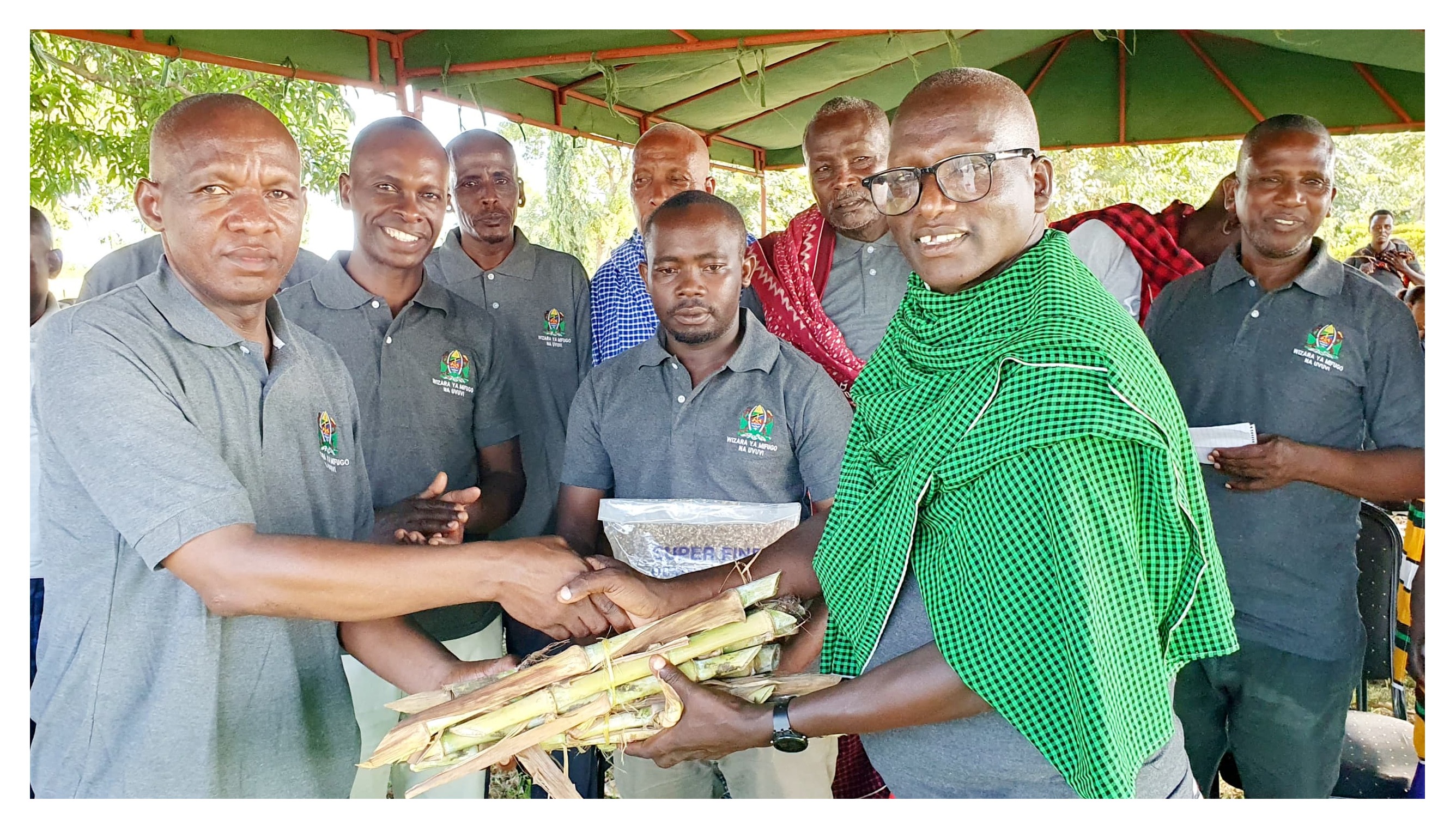 MAKABIDHIANO YA MBEGU ZA MALISHO YA MIFUGO